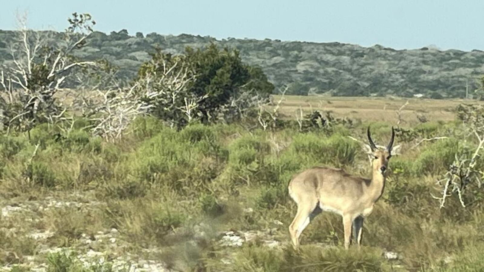 pt_PT