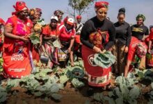 pt_PT